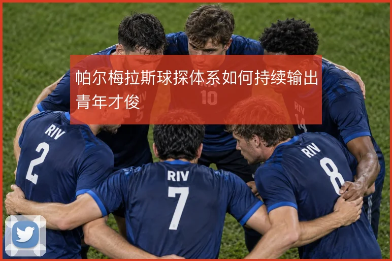 帕尔梅拉斯球探体系如何持续输出青年才俊