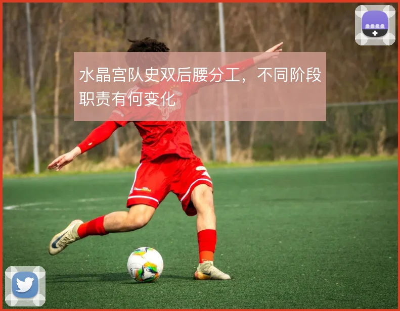 水晶宫队史双后腰分工,不同阶段职责有何变化